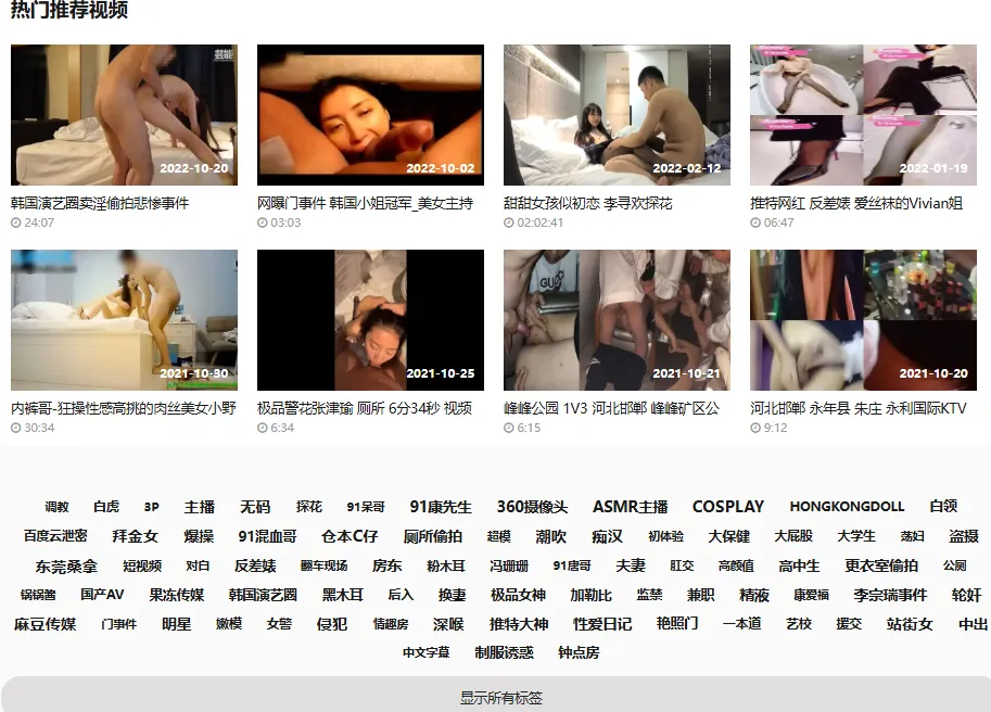 网站-老司机视频的部分标签截图